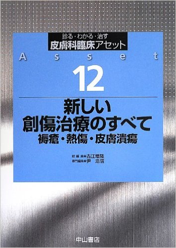 新しい創傷治療のすべて 褥瘡・熱傷・皮膚潰瘍